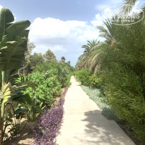 фото из отзыва ID 2738641