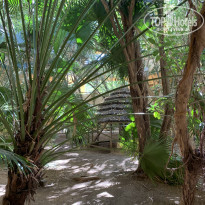 фото из отзыва ID 2738641