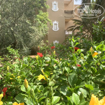 фото из отзыва ID 2738641