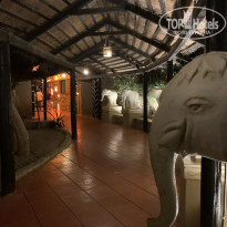 фото из отзыва ID 2738641