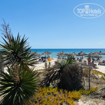 фото из отзыва ID 2738641