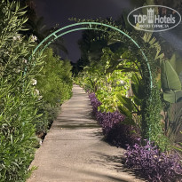 фото из отзыва ID 2738641