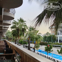 фото из отзыва ID 2738708