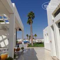 фото из отзыва ID 2738718