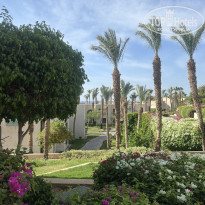 фото из отзыва ID 2738756