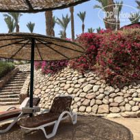 фото из отзыва ID 2738756