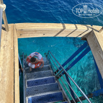 фото из отзыва ID 2738756