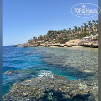 фото из отзыва ID 2738756