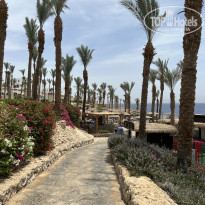 фото из отзыва ID 2738756