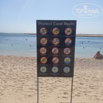 фото из отзыва ID 2738760