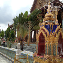 фото из отзыва ID 2738754