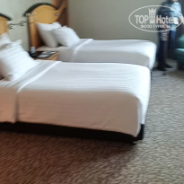 фото из отзыва ID 2738754