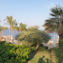 фото из отзыва ID 2738771