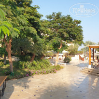 фото из отзыва ID 2738771