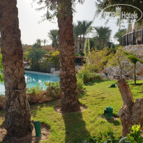 фото из отзыва ID 2738771