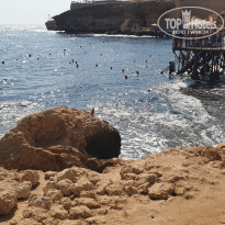 фото из отзыва ID 2738771