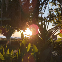 фото из отзыва ID 2738777