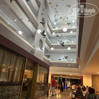 фото из отзыва ID 2738776