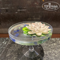 фото из отзыва ID 2738776