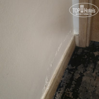 фото из отзыва ID 2738781