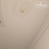 фото из отзыва ID 2738781