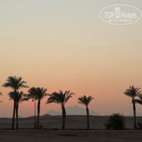 фото из отзыва ID 2738583