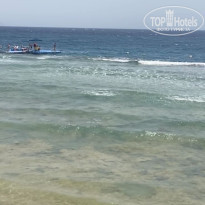 фото из отзыва ID 2738796