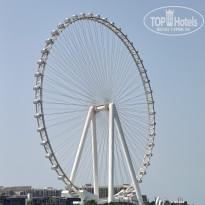 фото из отзыва ID 2738803