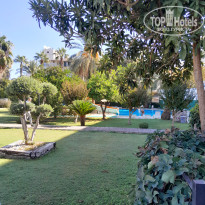 фото из отзыва ID 2738811