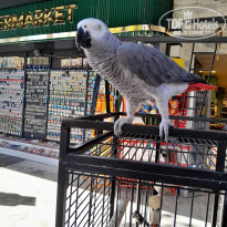 фото из отзыва ID 2738811