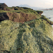 фото из отзыва ID 2738834