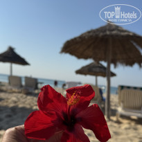 фото из отзыва ID 2738836