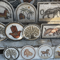 фото из отзыва ID 2738836