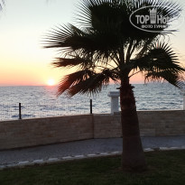 фото из отзыва ID 2738847