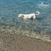 фото из отзыва ID 2738847