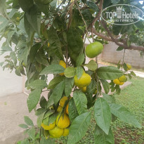 фото из отзыва ID 2738850