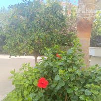 фото из отзыва ID 2738850