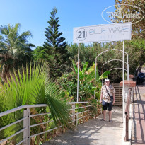 фото из отзыва ID 2738848