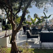 фото из отзыва ID 2738870