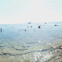 фото из отзыва ID 2738888