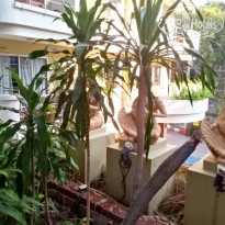 фото из отзыва ID 2738887