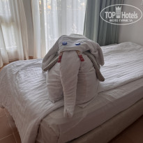 фото из отзыва ID 2738892