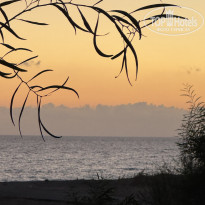 фото из отзыва ID 2738895