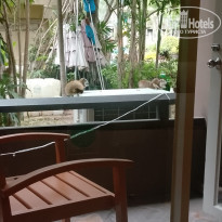 фото из отзыва ID 2738889