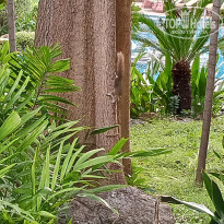 фото из отзыва ID 2738889