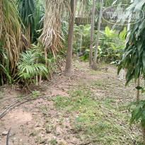 фото из отзыва ID 2738889