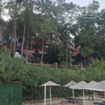 фото из отзыва ID 2738897