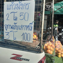 фото из отзыва ID 2738889