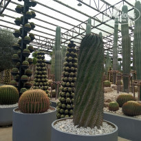 фото из отзыва ID 2738889