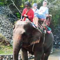 фото из отзыва ID 2738889